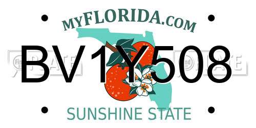 BV1Y508 Florida License Plate