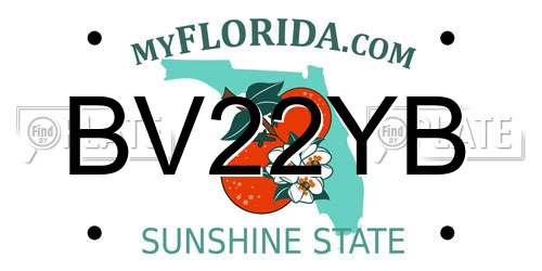 BV22YB Florida License Plate