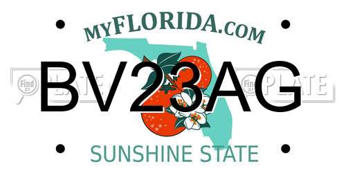 BV23AG Florida License Plate