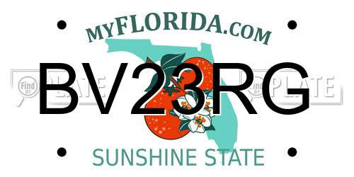 BV23RG Florida License Plate