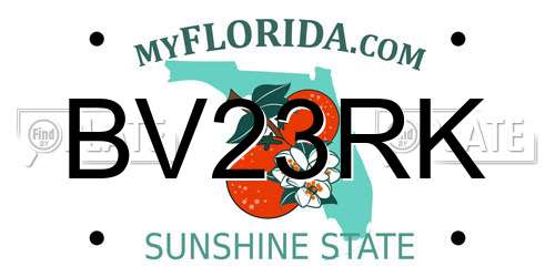 BV23RK Florida License Plate