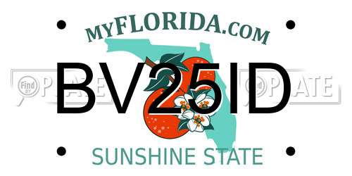 BV25ID Florida License Plate