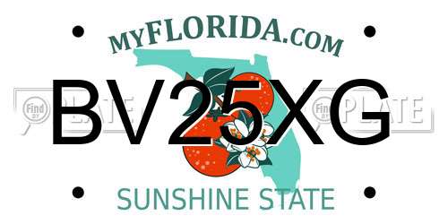 BV25XG Florida License Plate