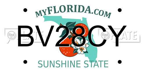 BV28CY Florida License Plate