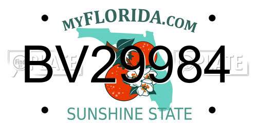 BV29984 Florida License Plate