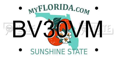 BV30VM Florida License Plate