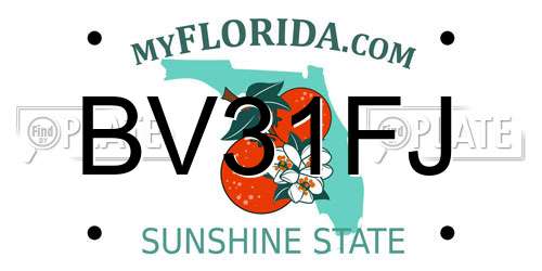 BV31FJ Florida License Plate