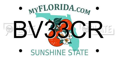 BV33CR Florida License Plate
