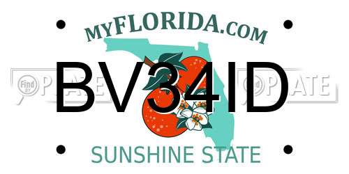 BV34ID Florida License Plate