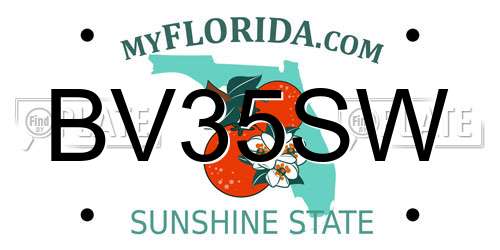 BV35SW Florida License Plate