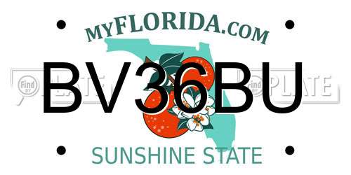 BV36BU Florida License Plate