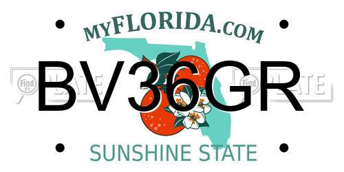 BV36GR Florida License Plate