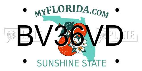 BV36VD Florida License Plate