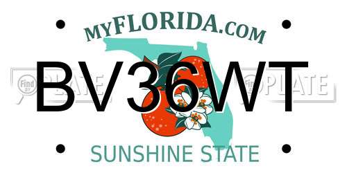 BV36WT Florida License Plate