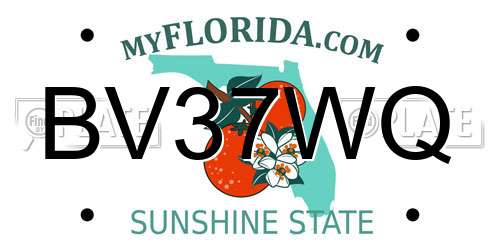 BV37WQ Florida License Plate