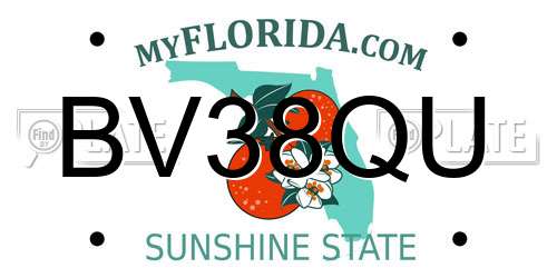 BV38QU Florida License Plate
