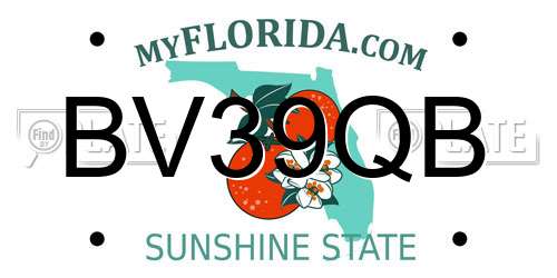 BV39QB Florida License Plate