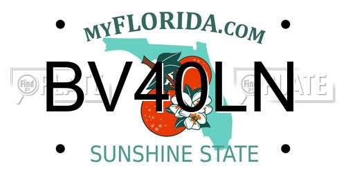 BV40LN Florida License Plate