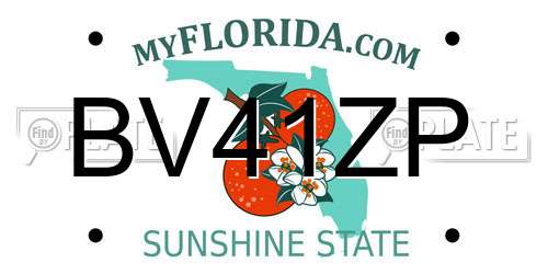 BV41ZP Florida License Plate