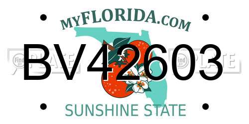 BV42603 Florida License Plate
