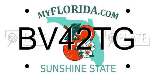BV42TG Florida License Plate