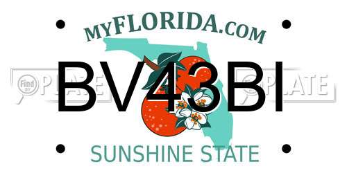 BV43BI Florida License Plate