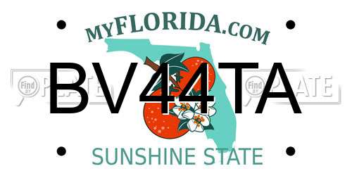 BV44TA Florida License Plate