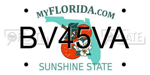 BV45VA Florida License Plate
