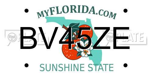BV45ZE Florida License Plate