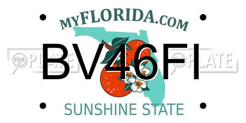BV46FI Florida License Plate
