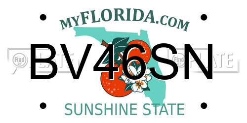 BV46SN Florida License Plate