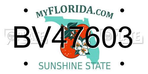 BV47603 Florida License Plate