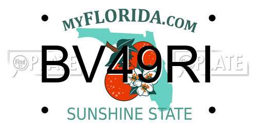 BV49RI Florida License Plate