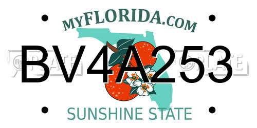 BV4A253 Florida License Plate
