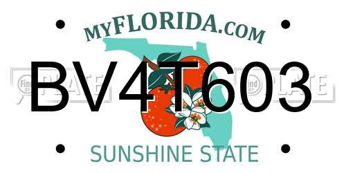 BV4T603 Florida License Plate