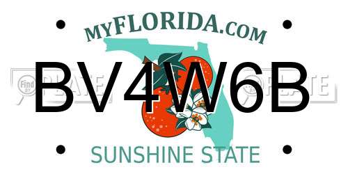 BV4W6B Florida License Plate