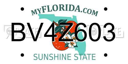 BV4Z603 Florida License Plate