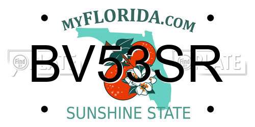 BV53SR Florida License Plate