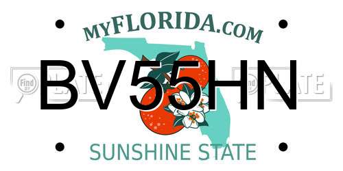 BV55HN Florida License Plate