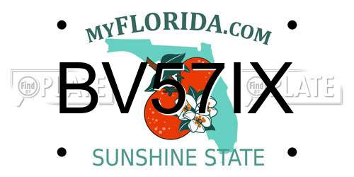 BV57IX Florida License Plate