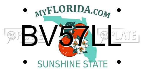 BV57LL Florida License Plate