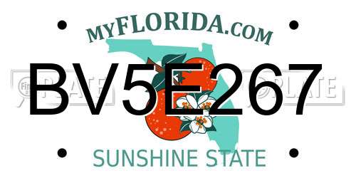 BV5E267 Florida License Plate