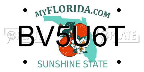BV5U6T Florida License Plate