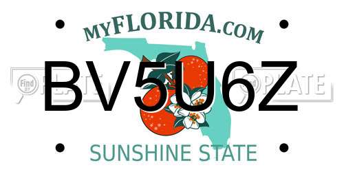 BV5U6Z Florida License Plate