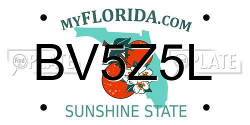 BV5Z5L Florida License Plate