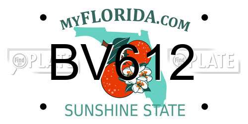 BV612 Florida License Plate