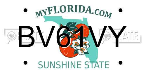 BV61VY Florida License Plate
