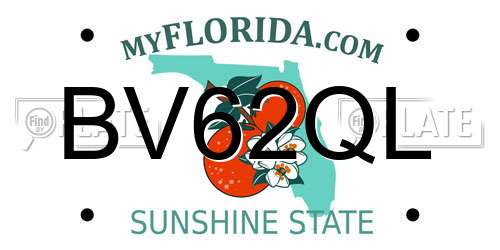 BV62QL Florida License Plate