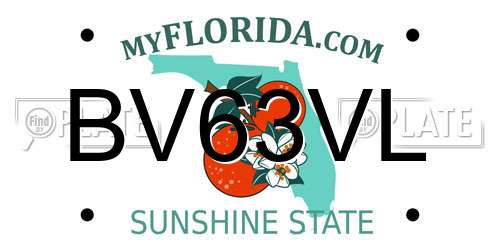 BV63VL Florida License Plate