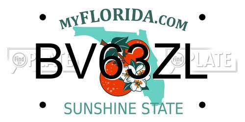 BV63ZL Florida License Plate